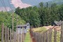 WM71H0 - Konzentrationslager Natzweiler-Struthof, Natzwiller, Frankrig